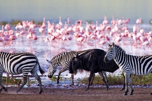 Lake Nakuru National Park