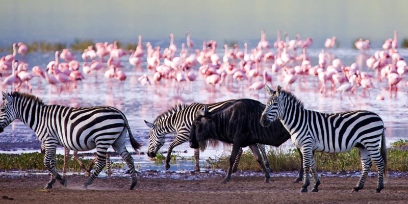 Lake Nakuru National Park