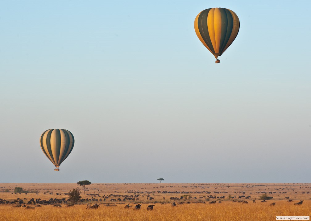 Explorer Kenya Safaris | Kenya Safari Holidays