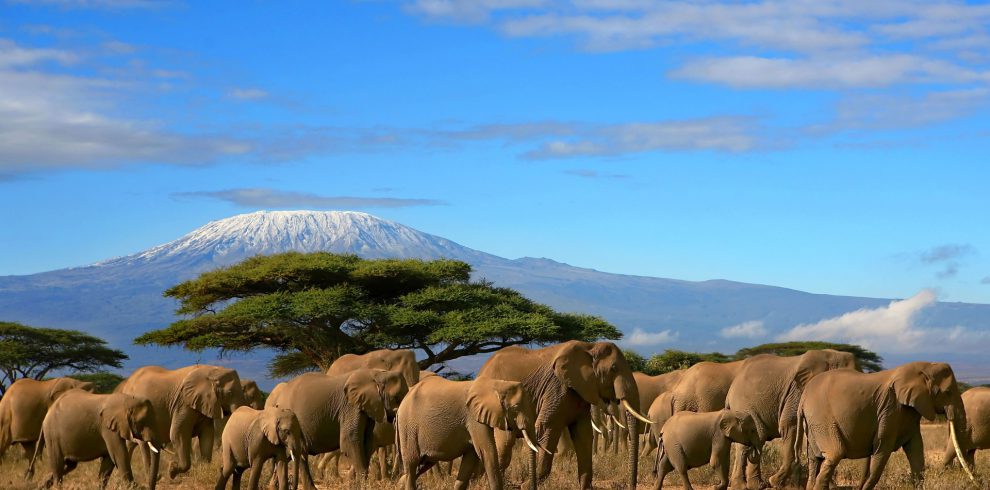 Explorer Kenya Safaris | Kenya Safari Holidays