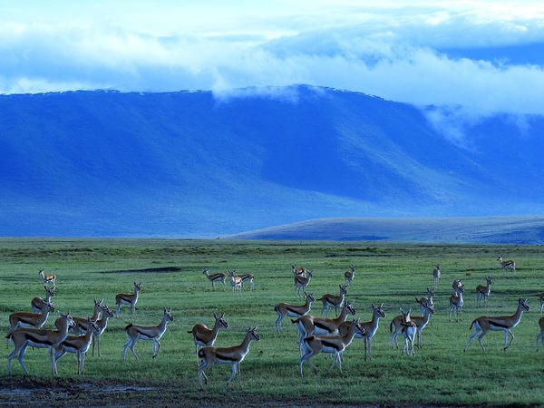 ngorongoro crater tanzania