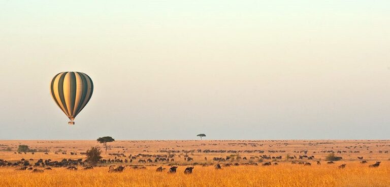 Hot air balloon flying over wildebeest in Masai Mara