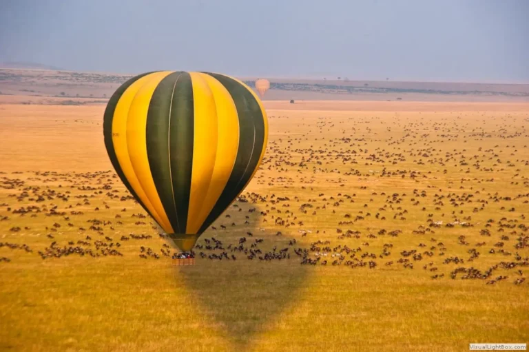Masai Mara balloon safari.