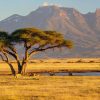 Serengeti national park holidays