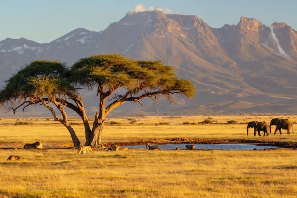 Serengeti national park holidays