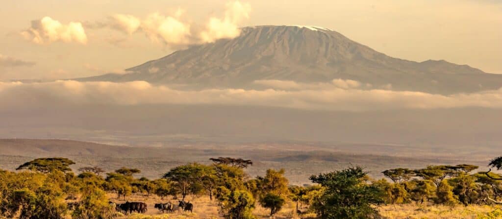 Mount Kilimanjaro above the plains of Amboseli